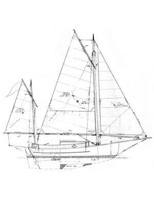 700 39 kb gif catboat plans smart reviews on cool stuff http www 